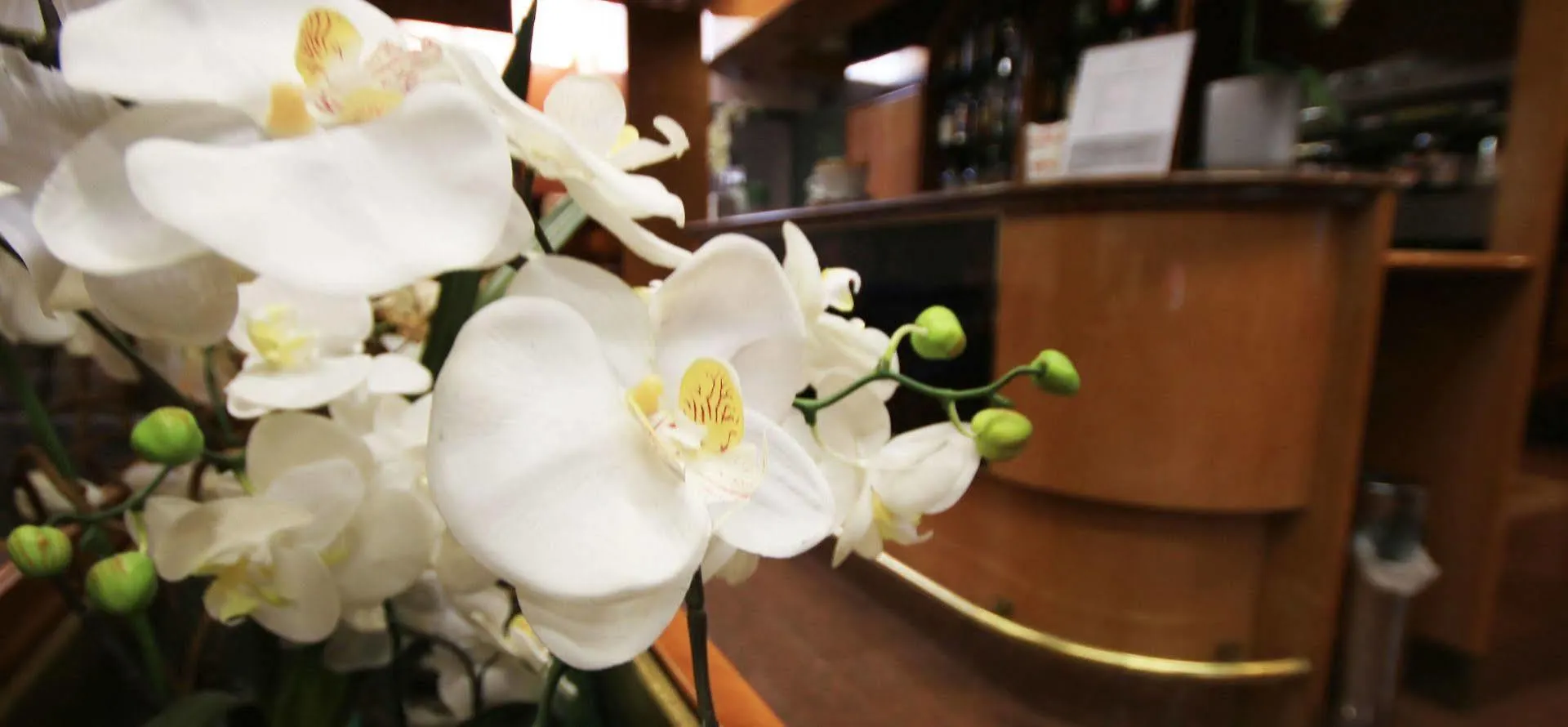 Hotel Lido Milan 3*,  Italy
